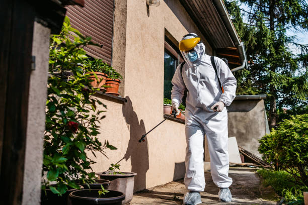 Redondo Beach, CA Pest Control Company
