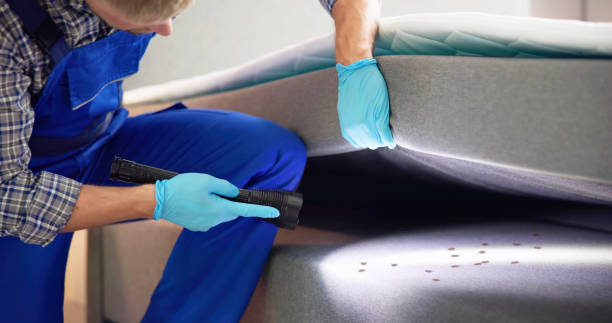Best Mosquito Control Services  in Redondo Beach, CA