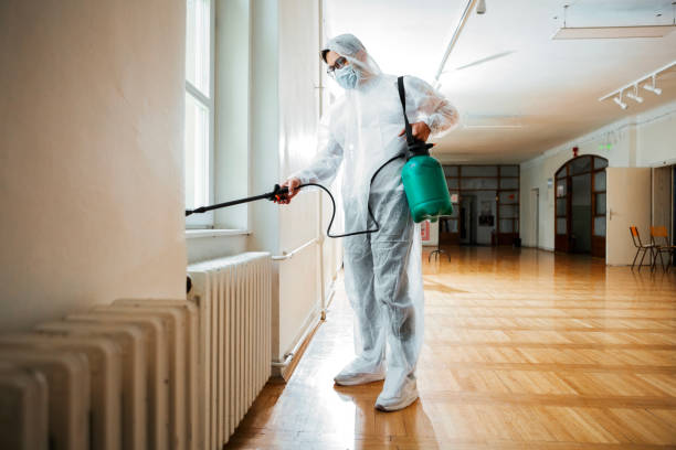 Best Local Pest Control Services  in Redondo Beach, CA