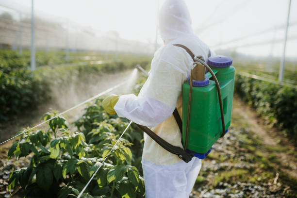 Best Exterminator Services  in Redondo Beach, CA